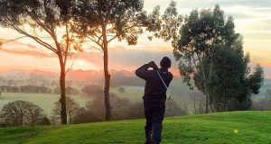 Sport picture of the day: the flying horse