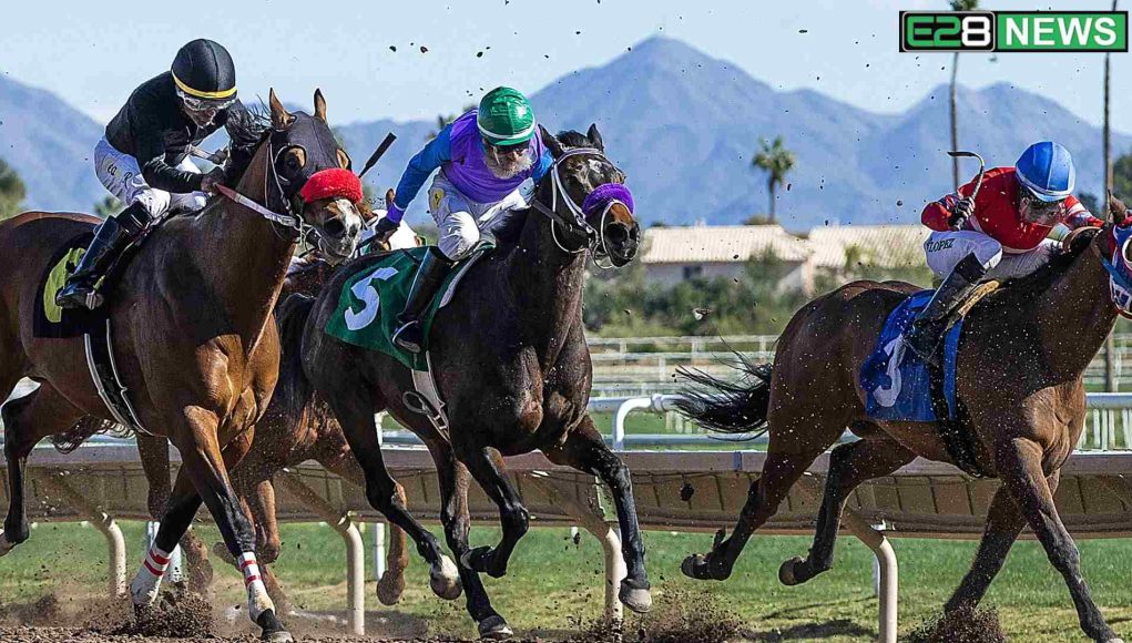 India will face New Zealand after 25 years in the Champions Trophy, when and where was the last match Who is it (2) (1) horses