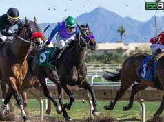 Shocking Report: Thoroughbred Racehorses Dying in Training horses