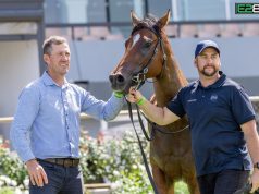 Frothy Macaw Gives Matthew Seyers His First Victory for John Singleton Matthew Seyers