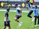 Role of Fitness and Endurance in International Cricket Fitness and Endurance in International Cricket | Key to Peak Performance