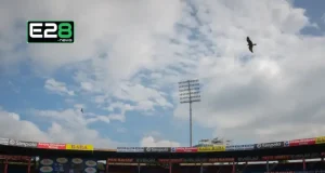 IPL 2025: What will be the condition of the pitch of Chinnaswamy Stadium during the RCB vs PBKS match, read this report