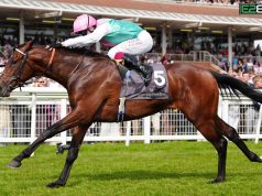 Jonquil Looks Like 2000 Guineas Contender After Newbury Win Jonquil