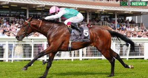 Jonquil Looks Like 2000 Guineas Contender After Newbury Win Jonquil