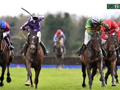 Fairyhouse Gets Green Light for Sunday Races Fairyhouse