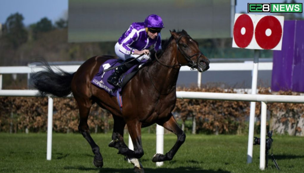 India will face New Zealand after 25 years in the Champions Trophy, when and where was the last match Who is it (3) The Lion