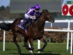 Unbeaten Horse The Lion In Winter Set for Dante Test The Lion