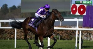 Unbeaten Horse The Lion In Winter Set for Dante Test The Lion
