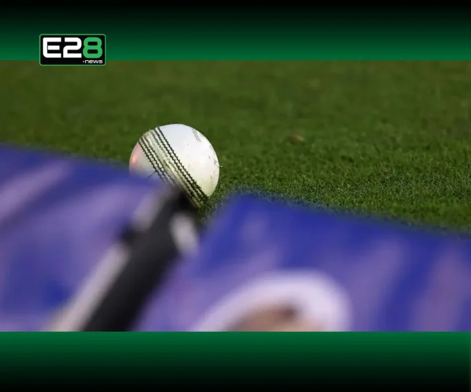 Cricket
