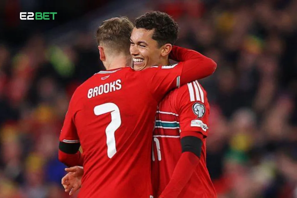 Wales Masterclass: Bellamy Hails Near-Perfect 7-1 Victory