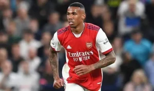 Erling Haaland Stats